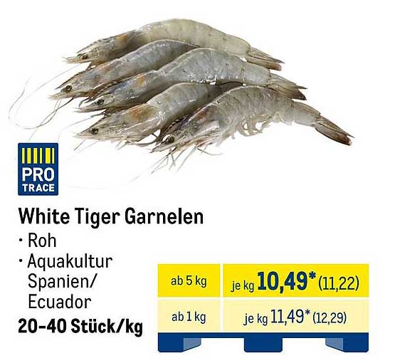 White Tiger Garnelen - Roh aus Aquakultur Spanien/Ecuador