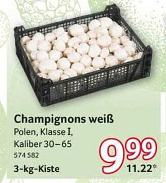Champignons weiß, Polen, Klasse I, Kaliber 30–65, 3-kg-Kiste