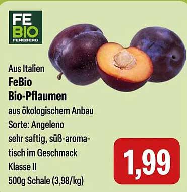 FeBio Bio-Pflaumen - 500g Schale aus ökologischem Anbau