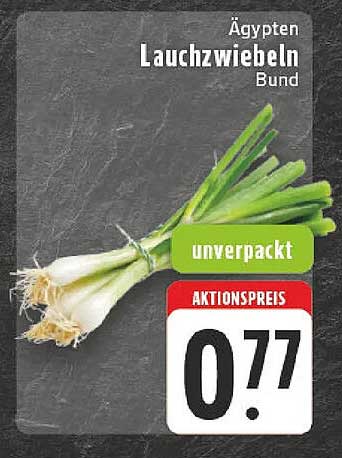 Ägypten Lauchzwiebeln Bund