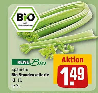 Bio Staudensellerie Kl. II aus Spanien, je St.