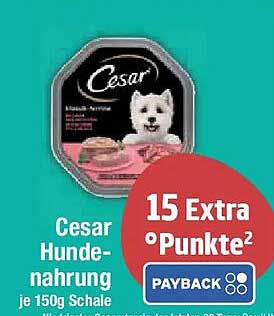 Cesar Hundenahrung je 150g Schale