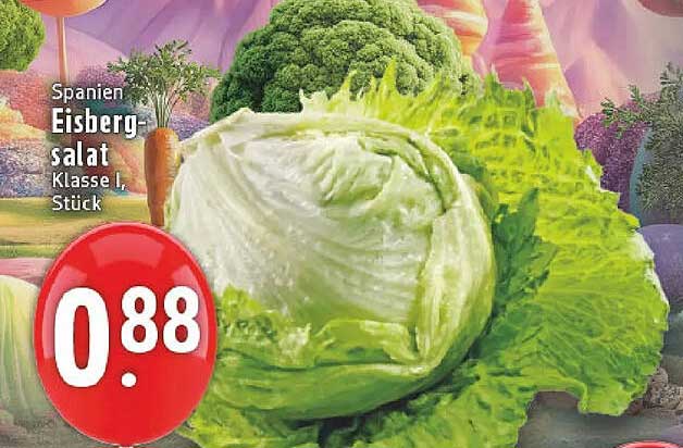 Eisbergsalat Klasse I, Stück aus Spanien