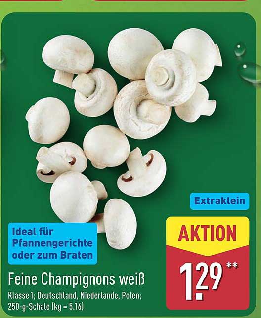Feine Champignons weiß