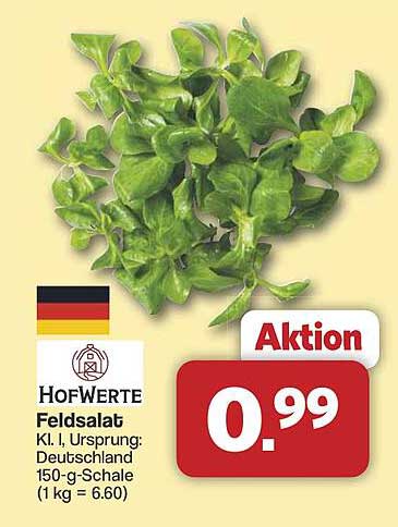 Hofwerte Feldsalat 150-g-Schale - Aktionspreis!