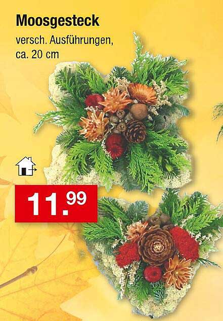Moosgesteck - verschiedene Ausführungen, ca. 20 cm