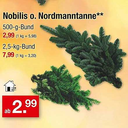 Nobilis o. Nordmanntanne - Frischer Weihnachtszauber