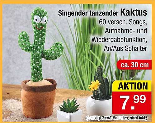 Singender tanzender Kaktus