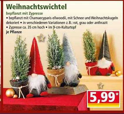 Weihnachtswichtel bepflanzt mit Zypresse