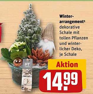 Winterarrangement dekorative Schale mit tollen Pflanzen und winterlicher Deko, je Schale