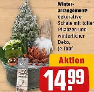 Winterarrangement - dekorative Schale mit tollen Pflanzen und winterlicher Deko, je Topf