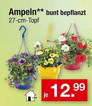 Ampeln** bunt bepflanzt 27-cm-Topf