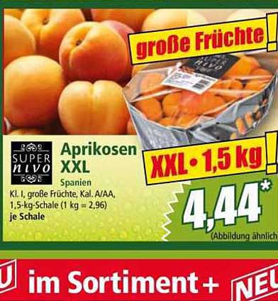 Aprikosen XXL - 1,5 kg