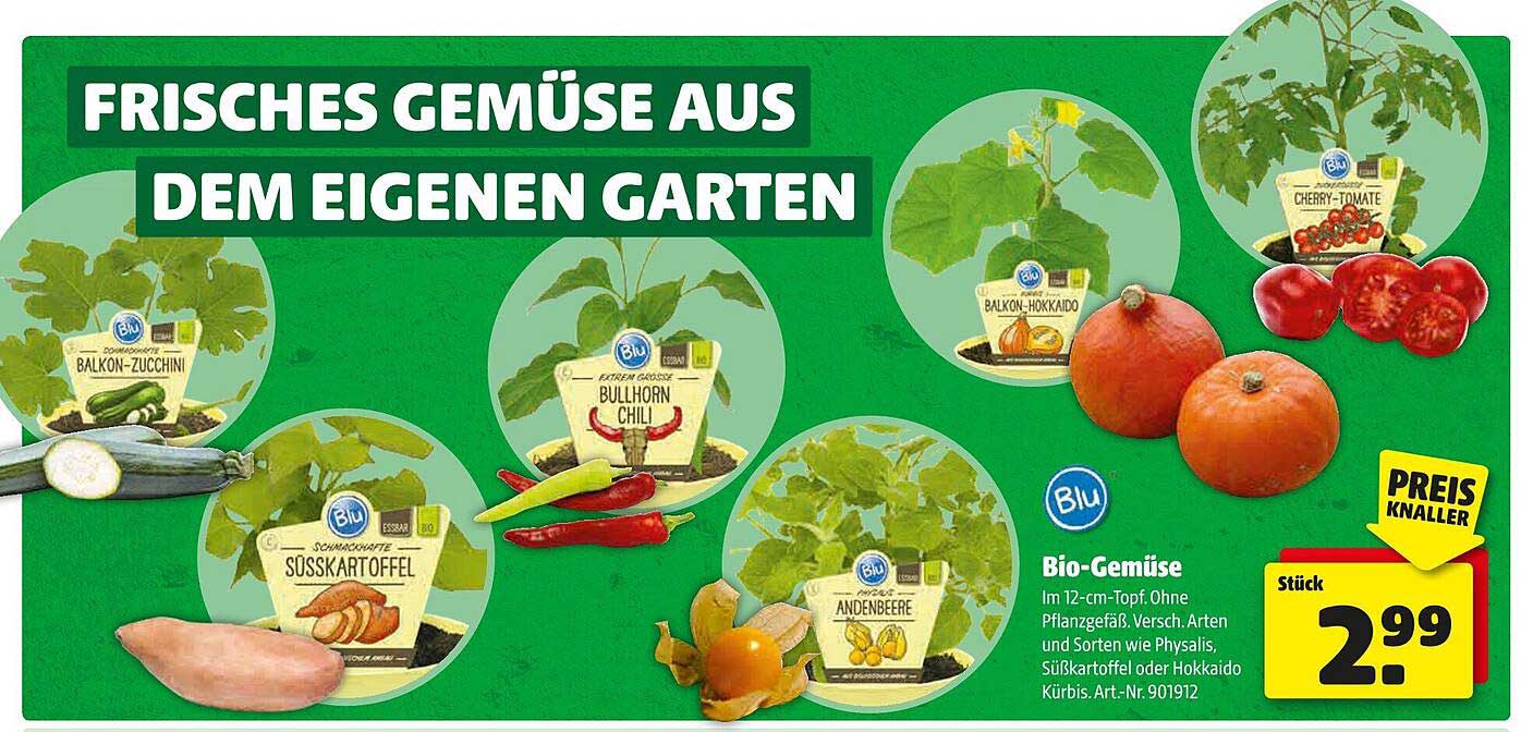 Bio-Gemüse im 12-cm-Topf - Vielfalt für Ihren Garten