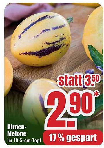 Birnen-Melone im 10,5-cm-Topf