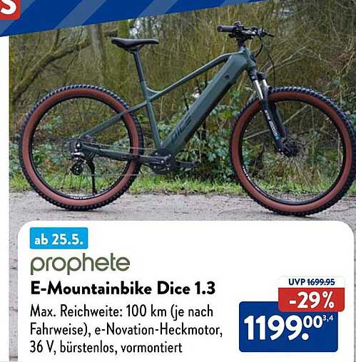 E-Mountainbike Dice 1.3 von Prophete