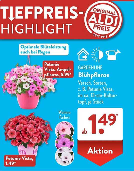 Gardenline Blühpflanze Petunie Vista, ab 1,49 €
