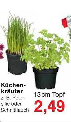 Küchenkräuter – Petersilie oder Schnittlauch im 13 cm Topf