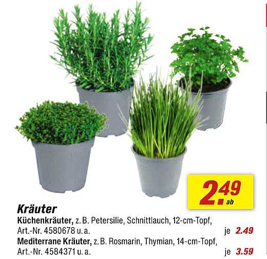Küchenkräuter, z. B. Petersilie, Schnittlauch, 12-cm-Topf, ab 2,49 €