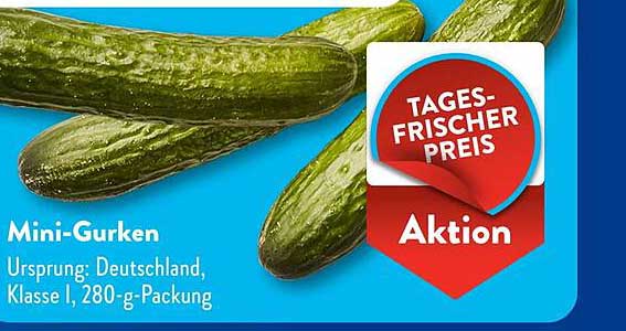 Mini-Gurken - Klasse I, 280 g-Packung