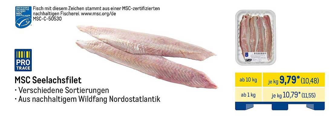 MSC Seelachsfilet - Nachhaltiger Wildfang aus dem Nordostatlantik