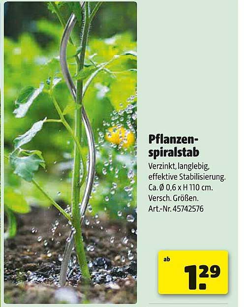 Pflanzen-Spiralstab