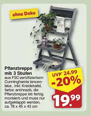 Pflanztreppe mit 3 Stufen aus FSC-zertifiziertem Cunninghamia lanceolata