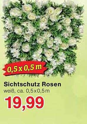 Sichtschutz Rosen, weiß, ca. 0,5 x 0,5 m