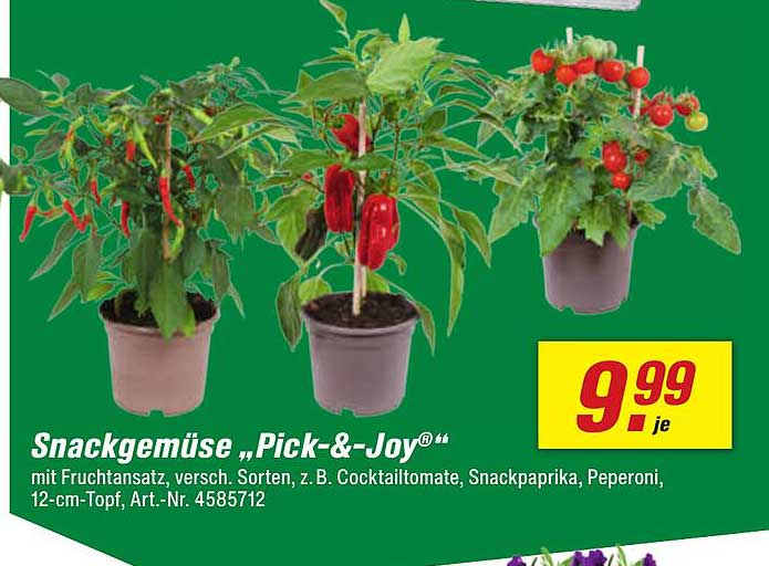 Snackgemüse „Pick-&-Joy®“