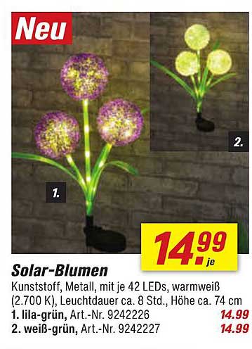 Solar-Blumen - Kunstvoller Lichtzauber für Ihren Garten