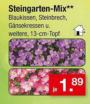 Steingarten-Mix – Blühende Vielfalt für Ihren Garten