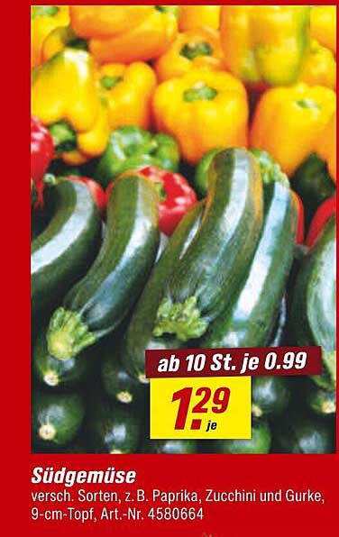 Südgemüse – Verschiedene Sorten wie Paprika, Zucchini und Gurke im 9-cm-Topf