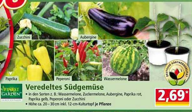 Veredeltes Südgemüse
