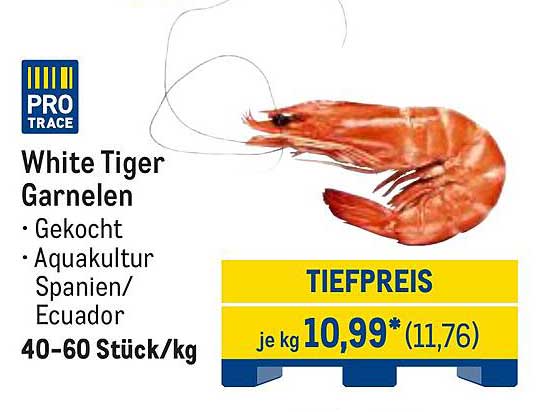 White Tiger Garnelen - Gekocht aus Aquakultur Spanien/Ecuador