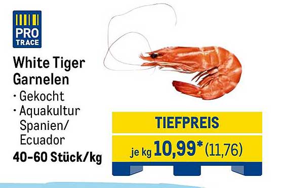White Tiger Garnelen - Gekocht aus Aquakultur Spanien/Ecuador