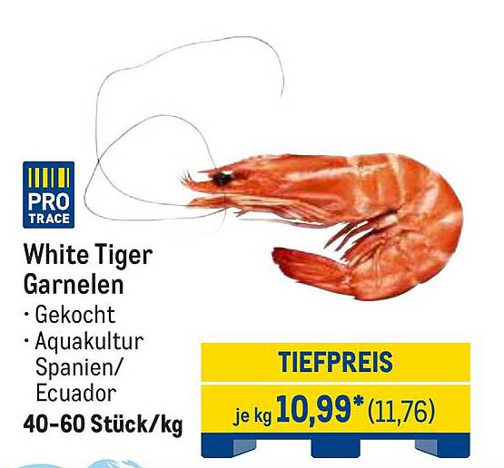 White Tiger Garnelen - Gekochte Garnelen aus Aquakultur