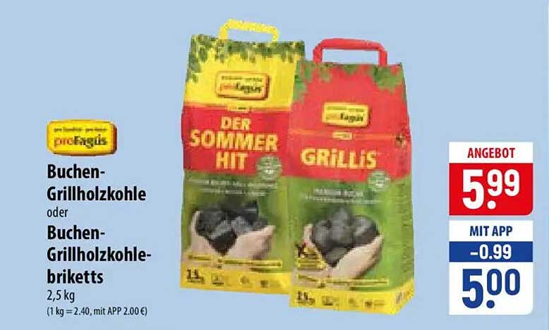 Buchen-Grillholzkohle oder Buchen-Grillholzkohle-briketts