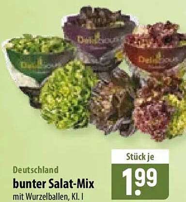 bunter Salat-Mix