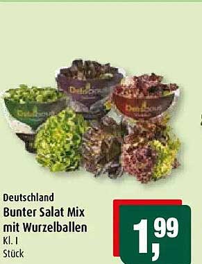 Deutschland Bunter Salat Mix mit Wurzelballen Kl. I Stück