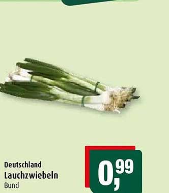 Deutschland Lauchzwiebeln Bund