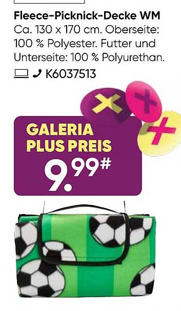 Fleece-Picknick-Decke WM