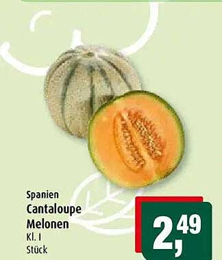 Spanien Cantaloupe Melonen Kl. I Stück