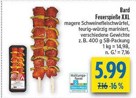 Bard Feuerspieß XXL