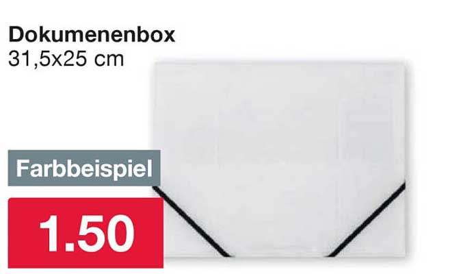 Dokumentenbox 31,5x25 cm