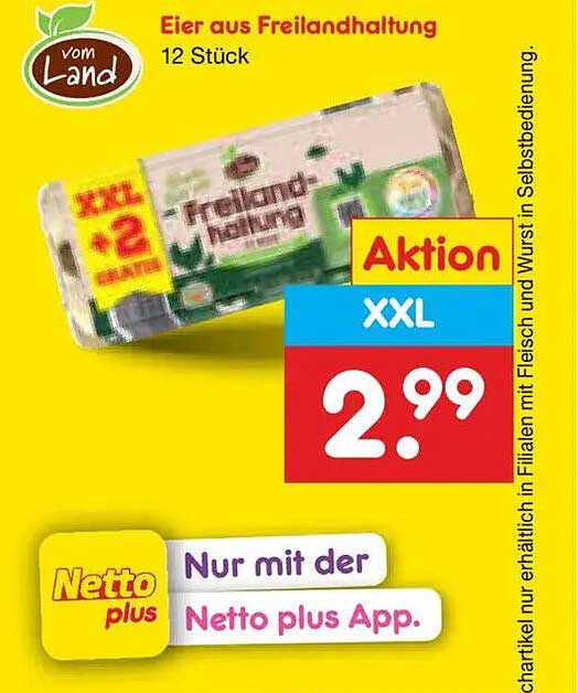 Eier aus Freilandhaltung 12 Stück