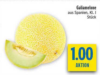 Galiamelone aus Spanien, Kl. I Stück