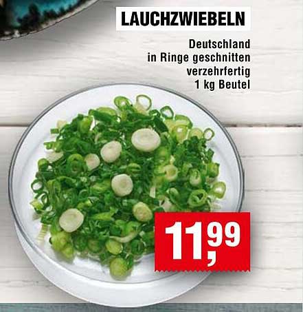 LAUCHZWIEBELN