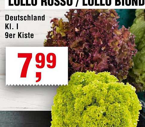 Lollo Rosso / Lollo Blond