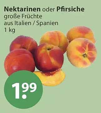 Nektarinen oder Pfirsiche