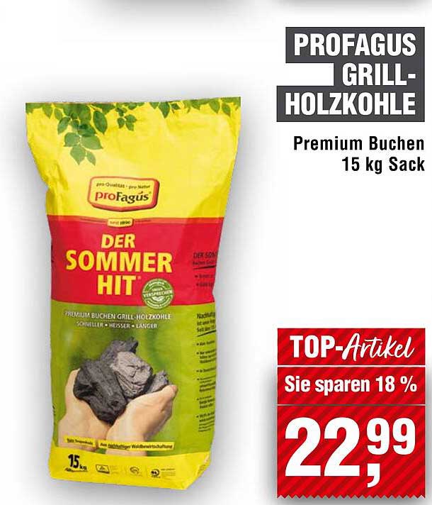 PROFAGUS GRILL-HOLZKOHLE Premium Buchen 15 kg Sack